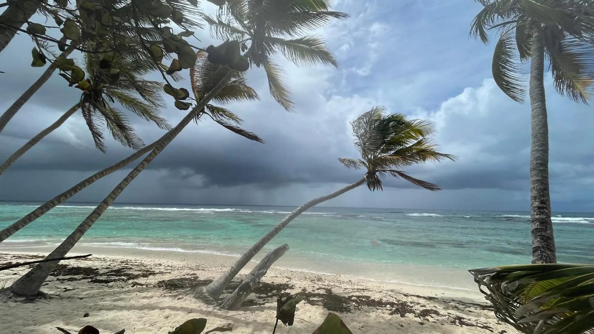 Villa Perle Des Caraibes - Boheme Chic Saint-Francois  Guadeloupe
