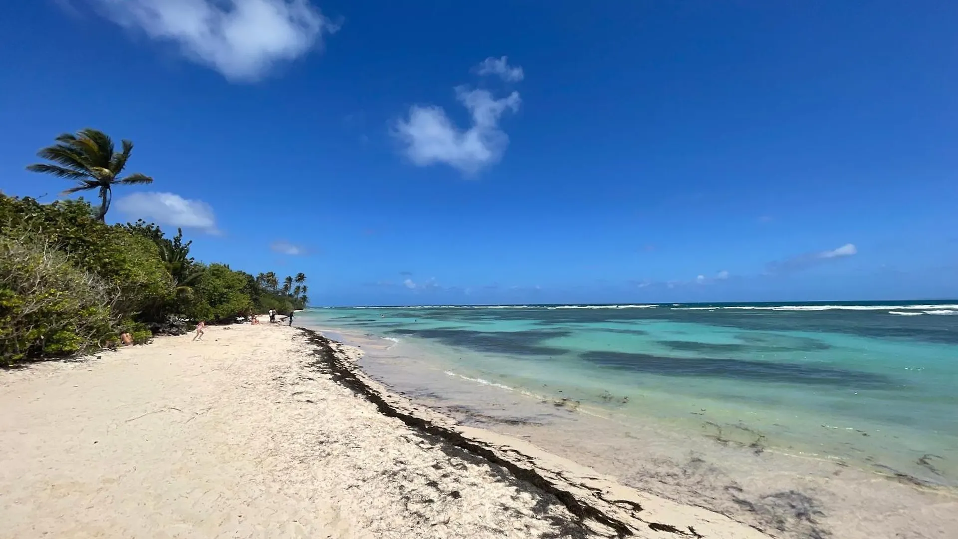 Villa Perle Des Caraibes - Boheme Chic Saint-Francois   Saint-Francois (Grande-Terre)
