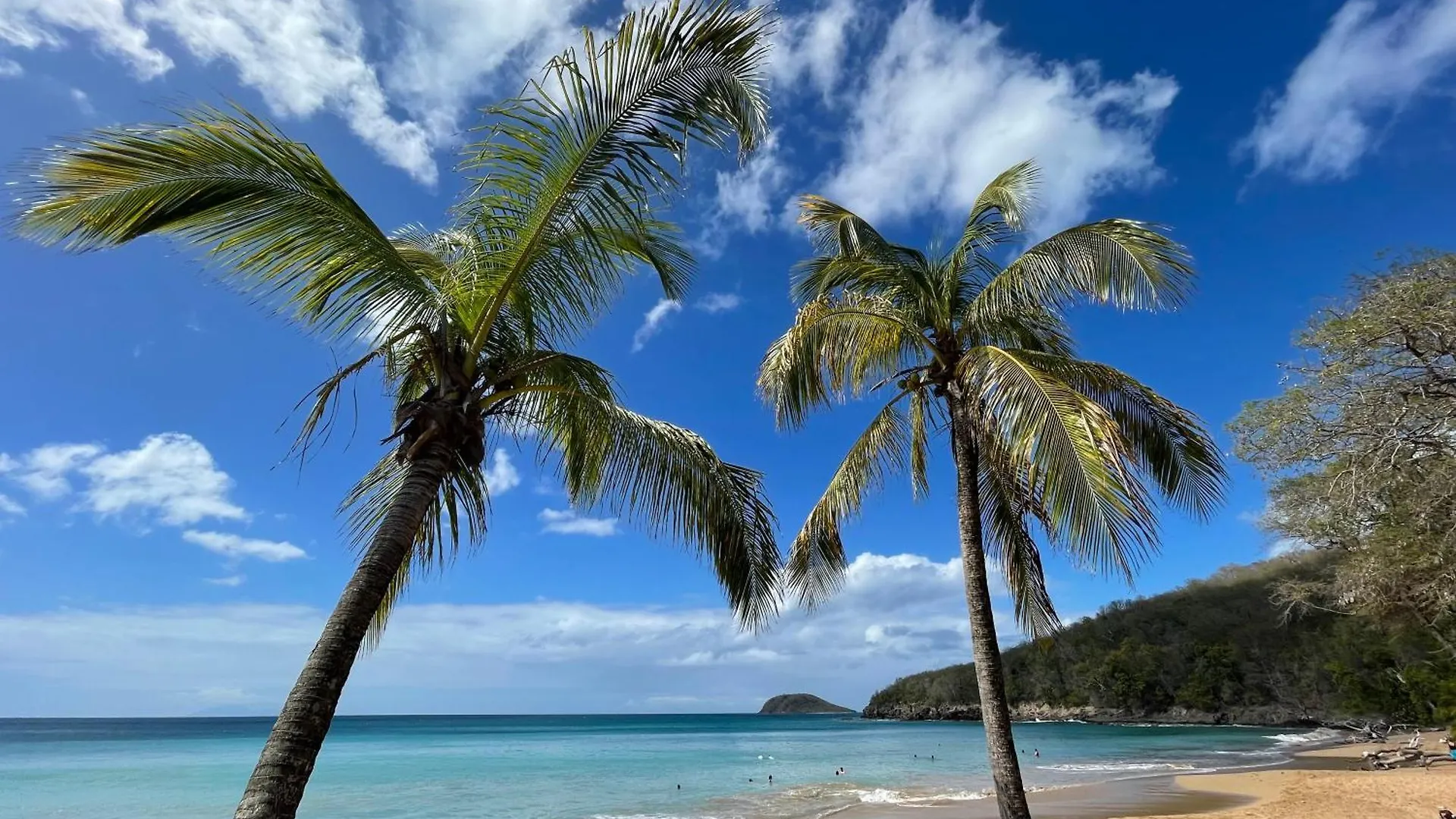 Villa Perle Des Caraibes - Boheme Chic Saint-Francois