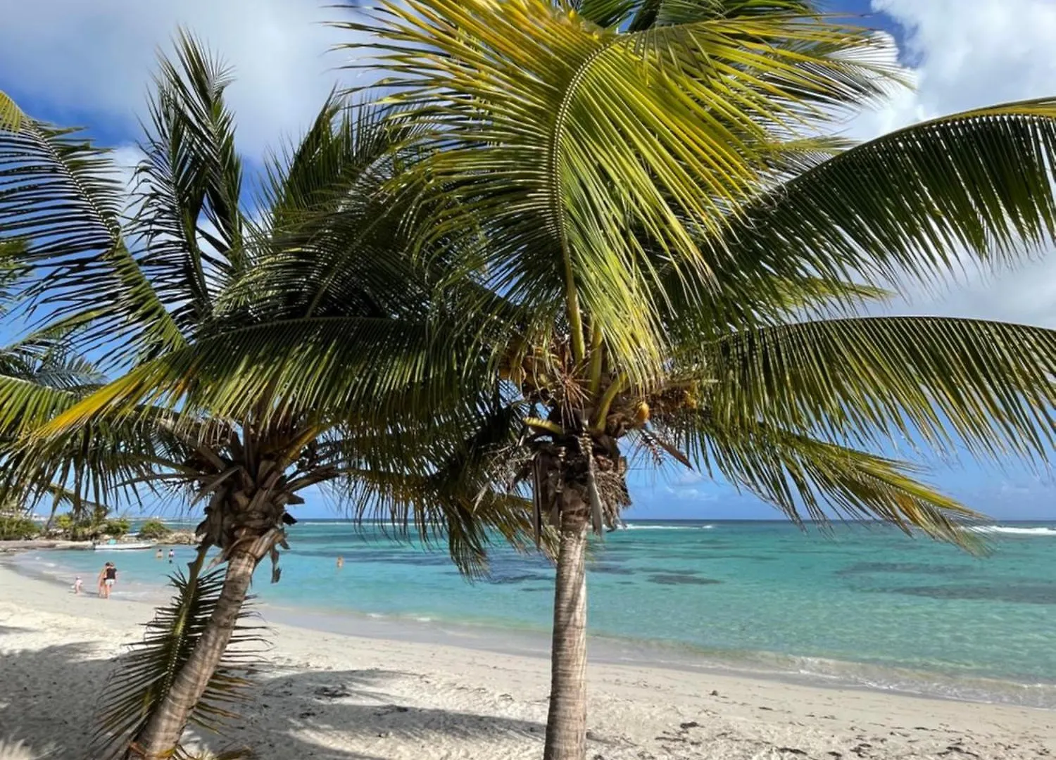 Villa Perle Des Caraibes - Boheme Chic Saint-Francois  Guadeloupe